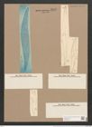 Pleurosigma angulatum strigosum (Queck.) W.Sm. (de-Toni-Nr.: Genus 13, Species 1001) Zeichnungen Sammlung Grunow Nr. 2023 (NHMW-BOT-W0368875)